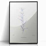 Minimalist Botanical Study – Elegant Floral Line Art for Modern Decor
