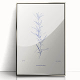 Minimalist Botanical Study – Elegant Floral Line Art for Modern Decor