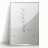 Minimalist Botanical Study – Elegant Floral Line Art for Modern Decor