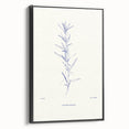 Minimalist Botanical Study – Elegant Floral Line Art for Modern Decor