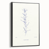 Minimalist Botanical Study – Elegant Floral Line Art for Modern Decor