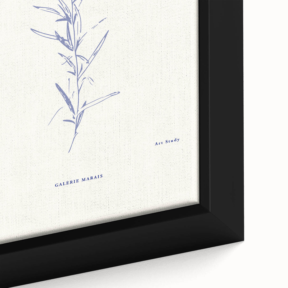 Minimalist Botanical Study – Elegant Floral Line Art for Modern Decor