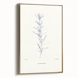 Minimalist Botanical Study – Elegant Floral Line Art for Modern Decor