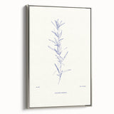 Minimalist Botanical Study – Elegant Floral Line Art for Modern Decor