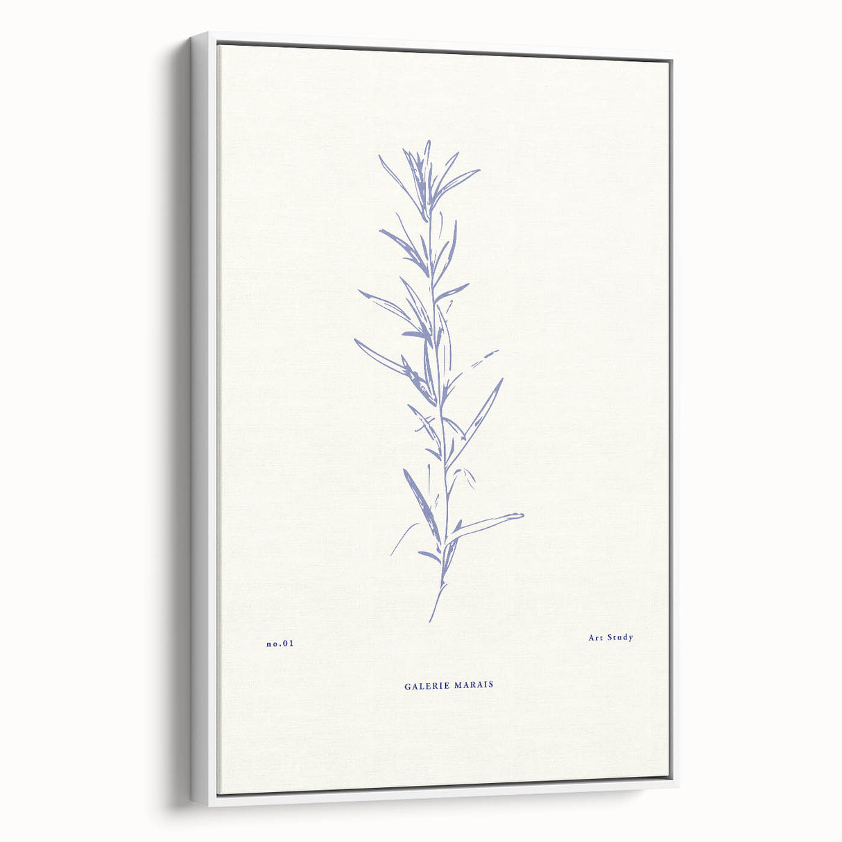 Minimalist Botanical Study – Elegant Floral Line Art for Modern Decor