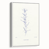 Minimalist Botanical Study – Elegant Floral Line Art for Modern Decor