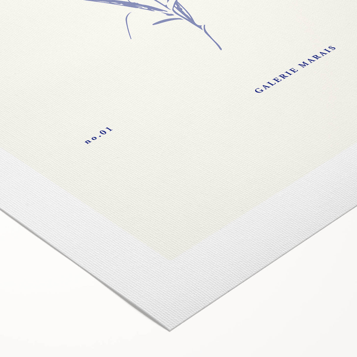 Minimalist Botanical Study – Elegant Floral Line Art for Modern Decor