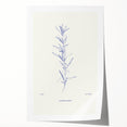 Minimalist Botanical Study – Elegant Floral Line Art for Modern Decor