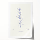 Minimalist Botanical Study – Elegant Floral Line Art for Modern Decor