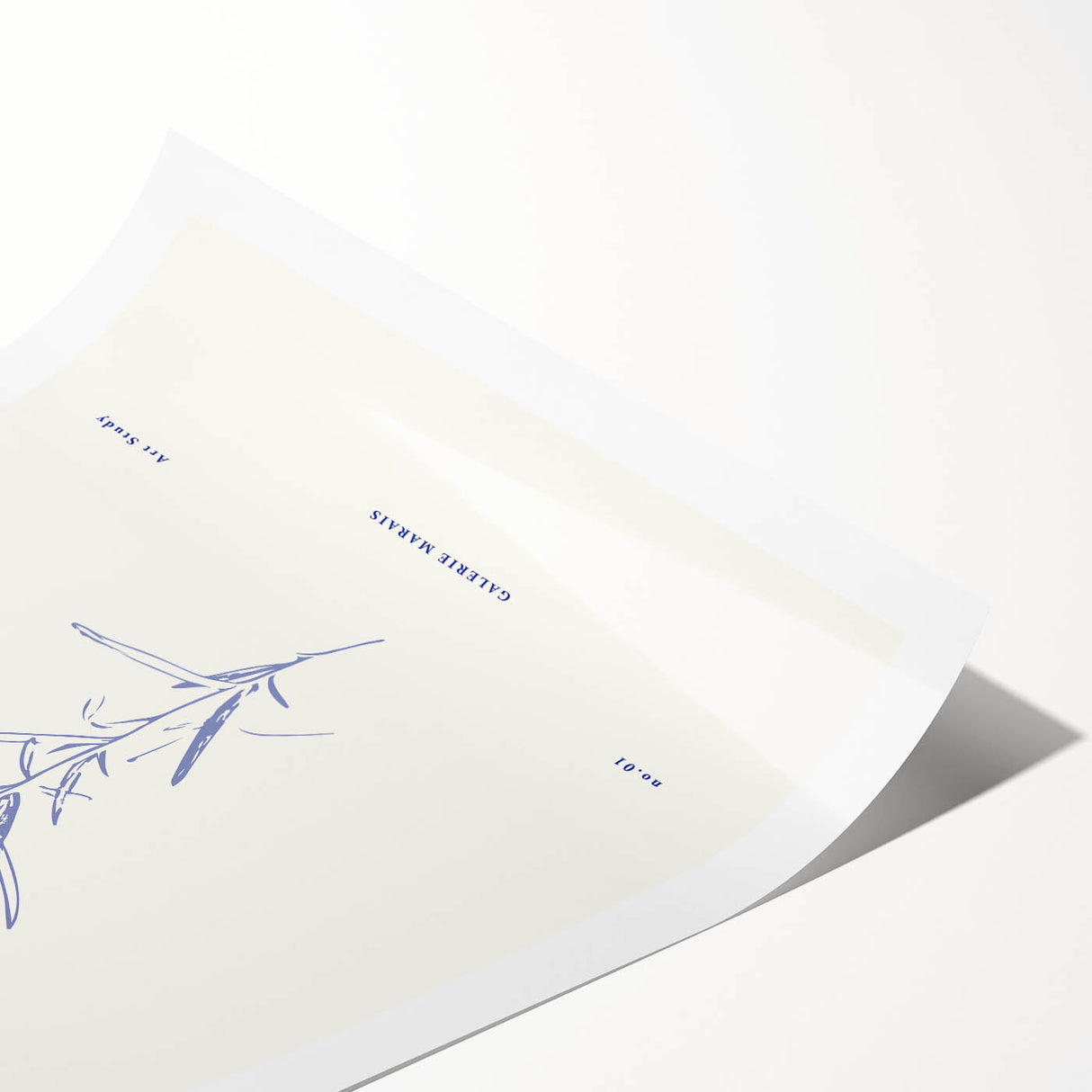 Minimalist Botanical Study – Elegant Floral Line Art for Modern Decor