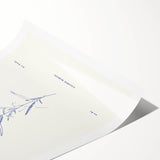 Minimalist Botanical Study – Elegant Floral Line Art for Modern Decor