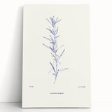 Minimalist Botanical Study – Elegant Floral Line Art for Modern Decor