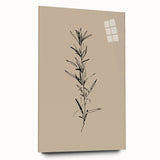 Minimalist Botanical Line Art – Elegant Plant Study for Modern Wall Decor