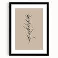 Minimalist Botanical Line Art – Elegant Plant Study for Modern Wall Decor