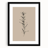 Minimalist Botanical Line Art – Elegant Plant Study for Modern Wall Decor