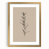Minimalist Botanical Line Art – Elegant Plant Study for Modern Wall Decor