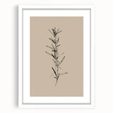 Minimalist Botanical Line Art – Elegant Plant Study for Modern Wall Decor