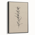 Minimalist Botanical Line Art – Elegant Plant Study for Modern Wall Decor
