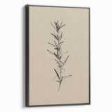 Minimalist Botanical Line Art – Elegant Plant Study for Modern Wall Decor