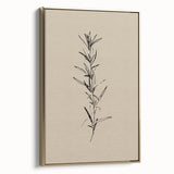 Minimalist Botanical Line Art – Elegant Plant Study for Modern Wall Decor