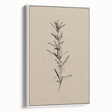 Minimalist Botanical Line Art – Elegant Plant Study for Modern Wall Decor