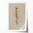Minimalist Botanical Line Art – Elegant Plant Study for Modern Wall Decor