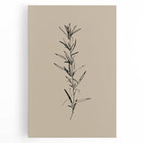 Minimalist Botanical Line Art – Elegant Plant Study for Modern Wall Decor