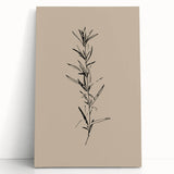 Minimalist Botanical Line Art – Elegant Plant Study for Modern Wall Decor
