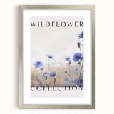 Wildflower Collection – Elegant Minimalist Botanical Art for Modern Decor