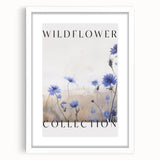 Wildflower Collection – Elegant Minimalist Botanical Art for Modern Decor