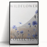 Wildflower Collection – Elegant Minimalist Botanical Art for Modern Decor