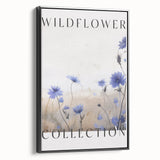 Wildflower Collection – Elegant Minimalist Botanical Art for Modern Decor