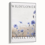 Wildflower Collection – Elegant Minimalist Botanical Art for Modern Decor