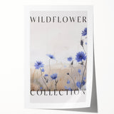 Wildflower Collection – Elegant Minimalist Botanical Art for Modern Decor