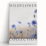 Wildflower Collection – Elegant Minimalist Botanical Art for Modern Decor