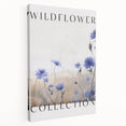 Wildflower Collection – Elegant Minimalist Botanical Art for Modern Decor