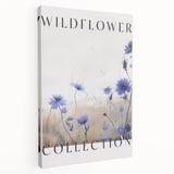 Wildflower Collection – Elegant Minimalist Botanical Art for Modern Decor
