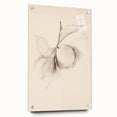 Minimalist Wall Art Sketch – Modern Clean Line Artwork for Simple Decor