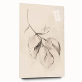 Minimalist Leaf Sketch – Modern Line Art for Clean and Simple Decor