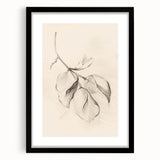 Minimalist Leaf Sketch – Modern Line Art for Clean and Simple Decor