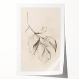 Minimalist Leaf Sketch – Modern Line Art for Clean and Simple Decor