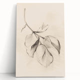 Minimalist Leaf Sketch – Modern Line Art for Clean and Simple Decor