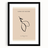 Minimalist Botanical Line Art – Simple Abstract Nature-Inspired Decor