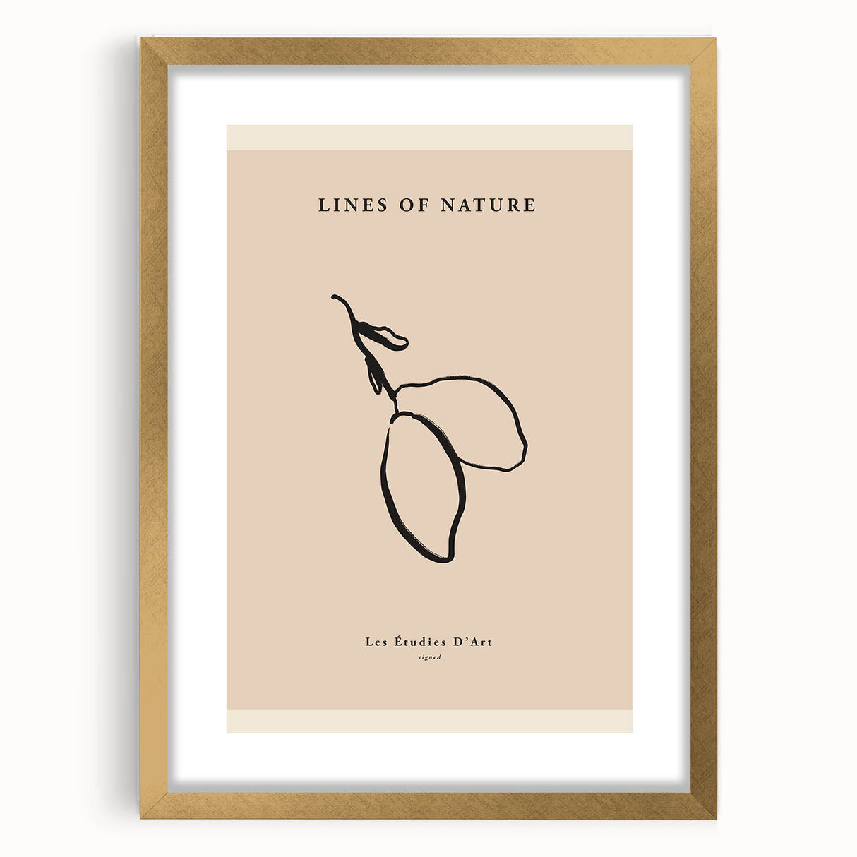 Minimalist Botanical Line Art – Simple Abstract Nature-Inspired Decor