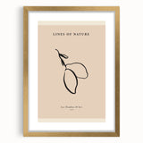 Minimalist Botanical Line Art – Simple Abstract Nature-Inspired Decor