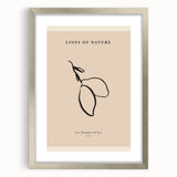 Minimalist Botanical Line Art – Simple Abstract Nature-Inspired Decor