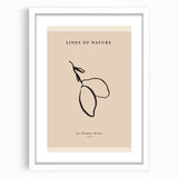Minimalist Botanical Line Art – Simple Abstract Nature-Inspired Decor