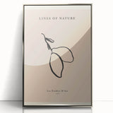 Minimalist Botanical Line Art – Simple Abstract Nature-Inspired Decor