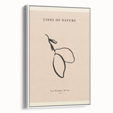 Minimalist Botanical Line Art – Simple Abstract Nature-Inspired Decor