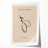 Minimalist Botanical Line Art – Simple Abstract Nature-Inspired Decor